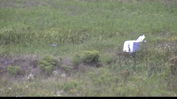 capture-5-23-08-08_13-54-01-00