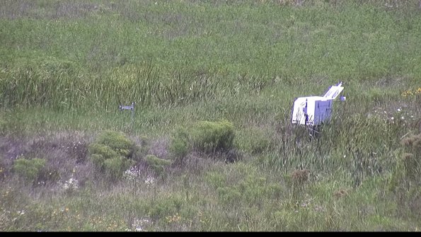 capture-5-23-08-08_13-56-11-00