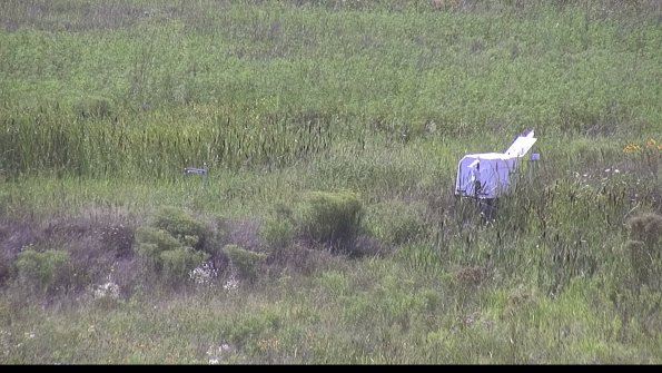 capture-5-23-08-08_16-23-31-14