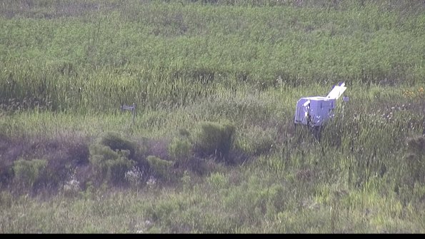 capture-5-23-08-08_18-19-07-08