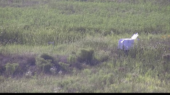 capture-5-23-08-08_18-34-18-19