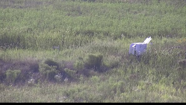 capture-5-23-08-08_18-36-27-15