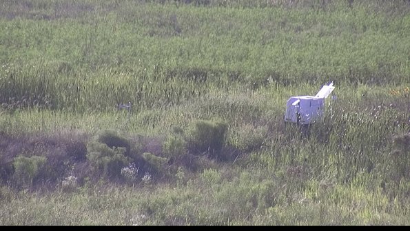 capture-5-23-08-08_18-42-57-18