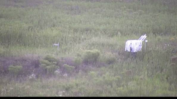 capture-5-23-08-08_20-20-27-19