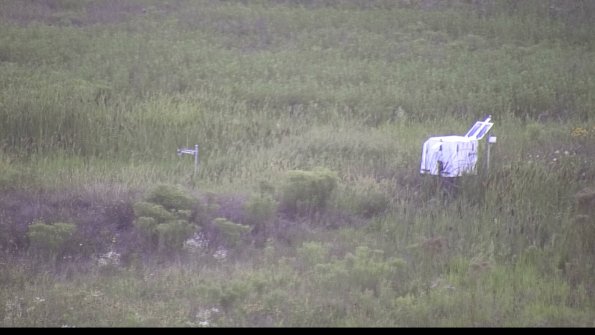 capture-5-23-08-08_20-26-57-11