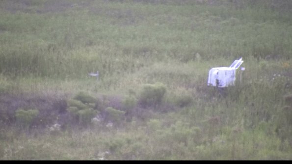 capture-5-23-08-08_20-55-06-67