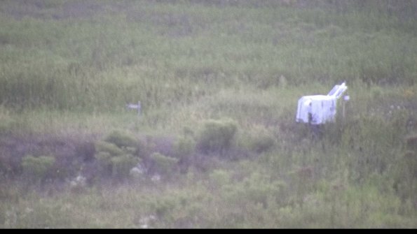 capture-5-23-08-08_20-59-26-67