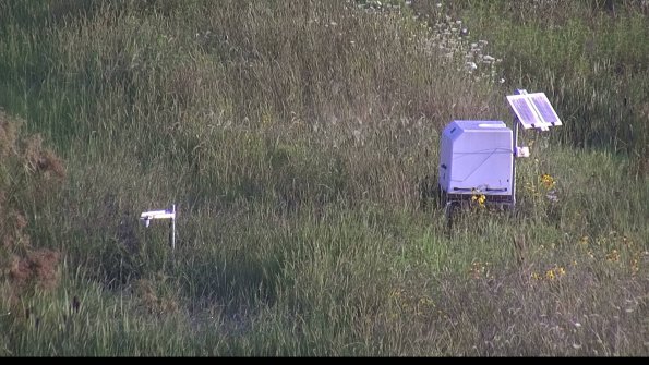 capture-6-23-08-08_08-03-44-81