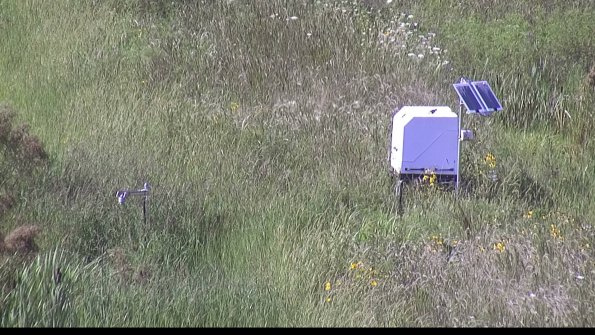 capture-6-23-08-08_17-00-30-61