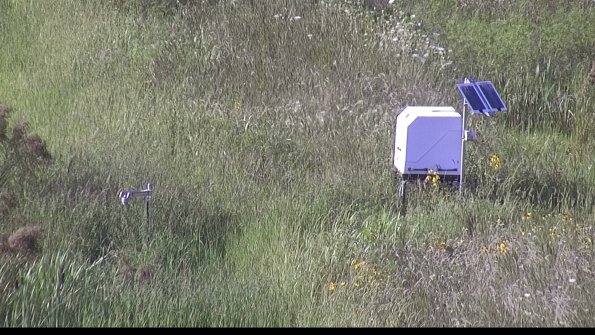 capture-6-23-08-08_17-59-46-51