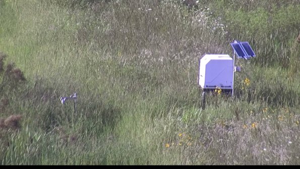 capture-6-23-08-08_18-19-16-59