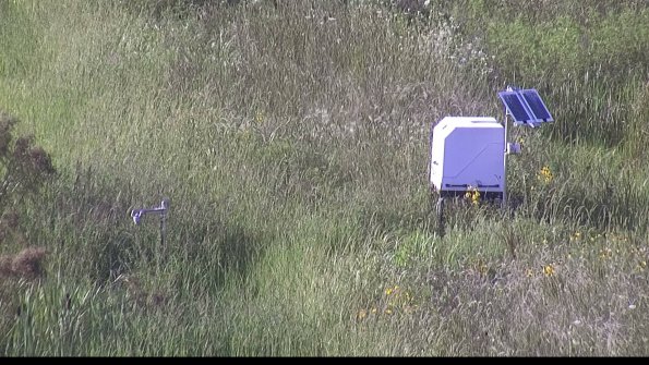 capture-6-23-08-08_18-38-46-43