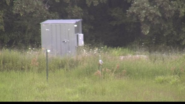 capture-2-23-08-10_12-30-56-70