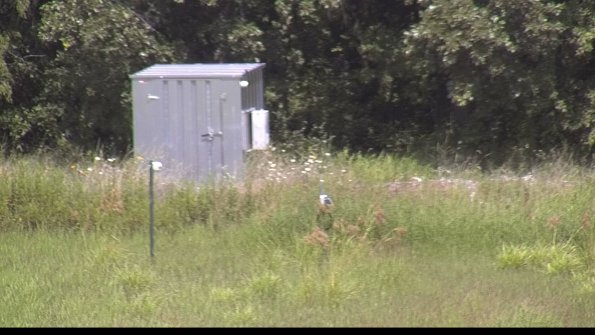 capture-2-23-08-10_14-10-36-78