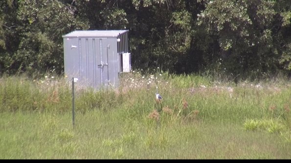 capture-2-23-08-10_14-40-56-57