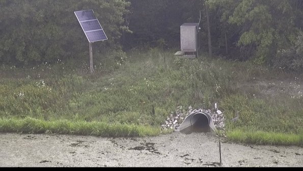 capture-3-23-08-10_11-45-35-33