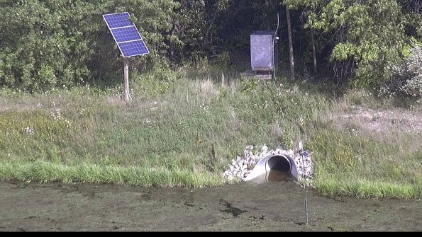 capture-3-23-08-10_17-10-42-53