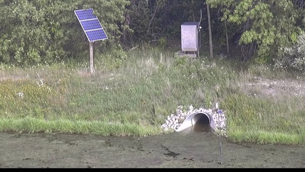 capture-3-23-08-10_17-12-53-36