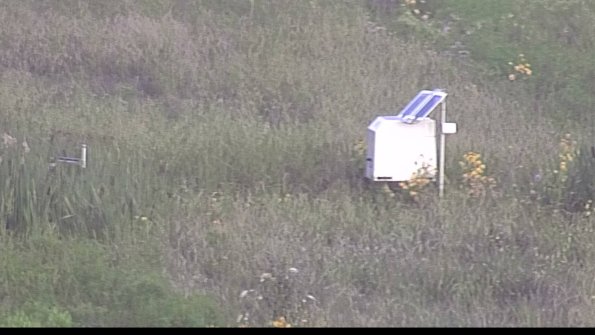 capture-4-23-08-10_07-20-50-46