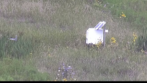 capture-4-23-08-10_11-41-25-55