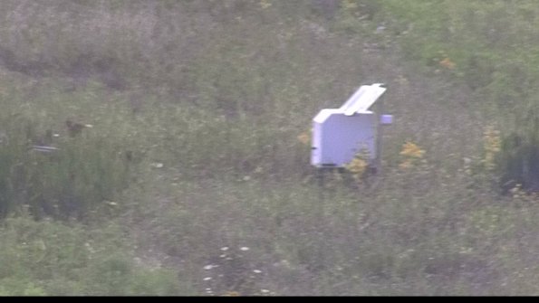 capture-4-23-08-10_17-15-14-07