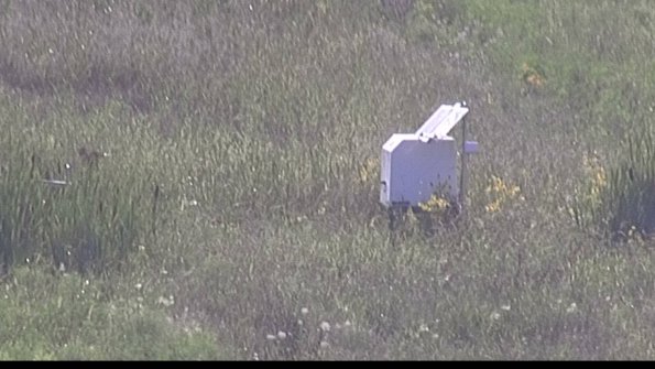 capture-4-23-08-10_18-07-13-89