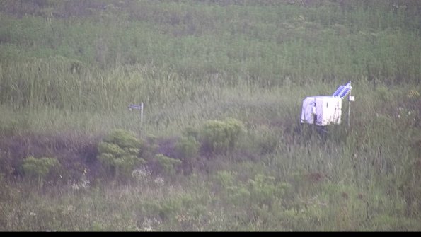 capture-5-23-08-10_07-18-49-38