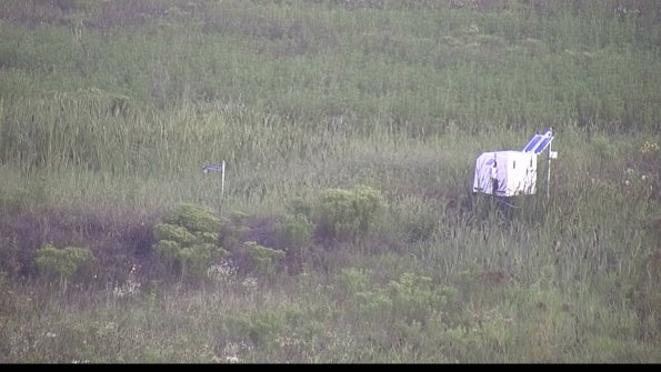 capture-5-23-08-10_07-20-59-51