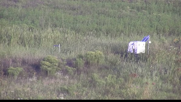 capture-5-23-08-10_07-55-39-36