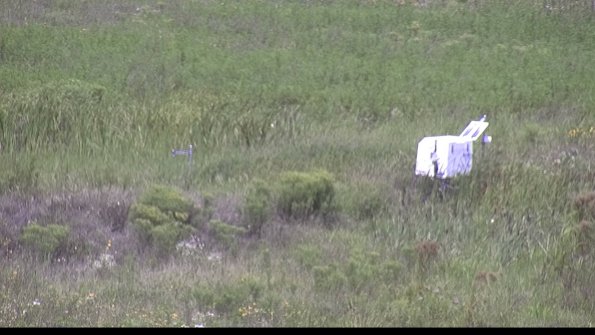 capture-5-23-08-10_12-27-05-04