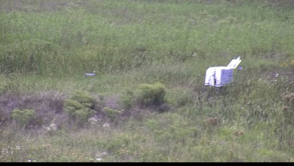 capture-5-23-08-10_14-56-34-88