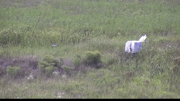 capture-5-23-08-10_15-42-13-41