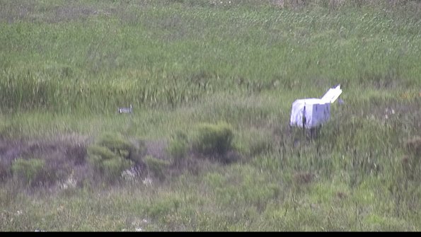 capture-5-23-08-10_15-48-42-70