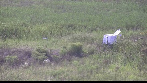 capture-5-23-08-10_17-04-32-53