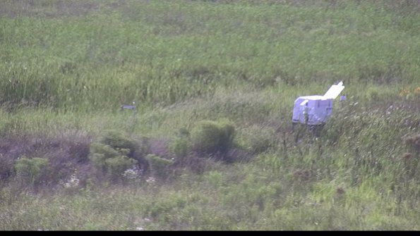 capture-5-23-08-10_17-11-02-82