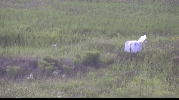 capture-5-23-08-10_17-15-22-68