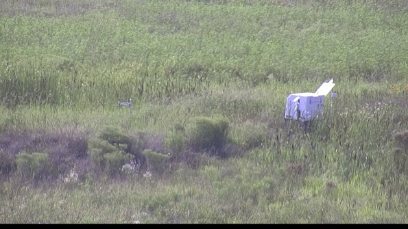 capture-5-23-08-10_17-17-32-54