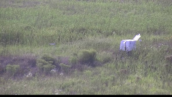 capture-5-23-08-10_17-19-43-11