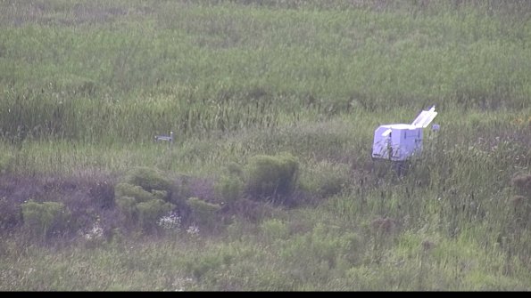 capture-5-23-08-10_17-41-22-87