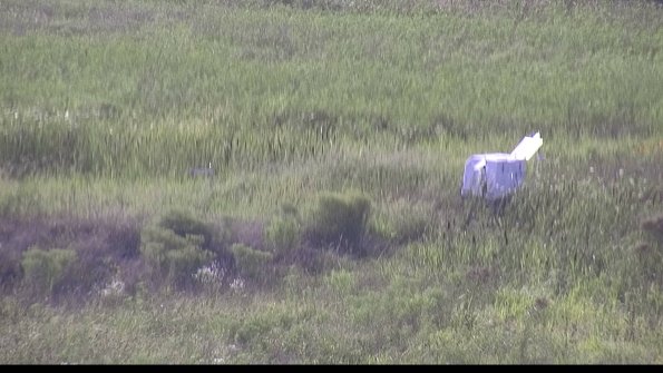 capture-5-23-08-10_17-58-42-65