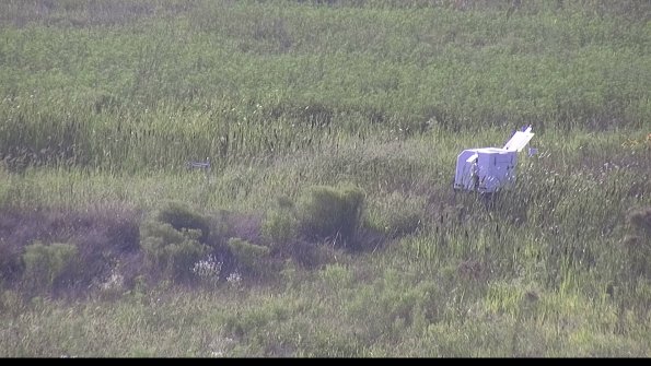 capture-5-23-08-10_18-20-22-62