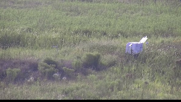 capture-5-23-08-10_18-22-33-08