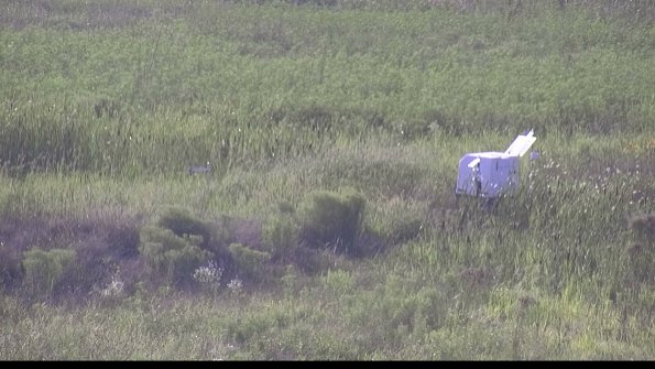 capture-5-23-08-10_18-24-42-66