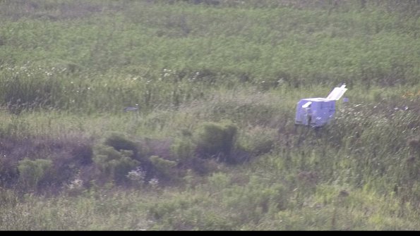 capture-5-23-08-10_18-33-22-90