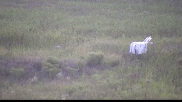 capture-5-23-08-10_20-57-40-41