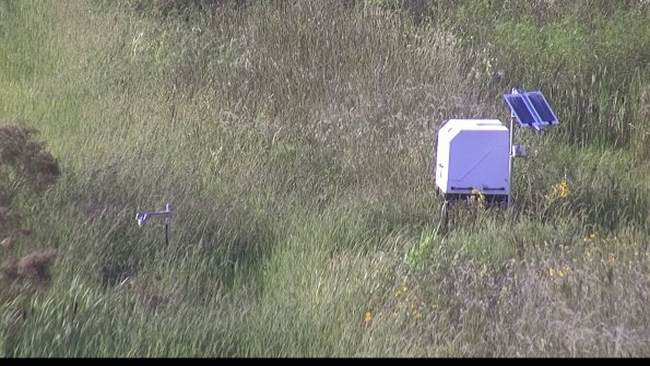 capture-6-23-08-10_18-40-01-81