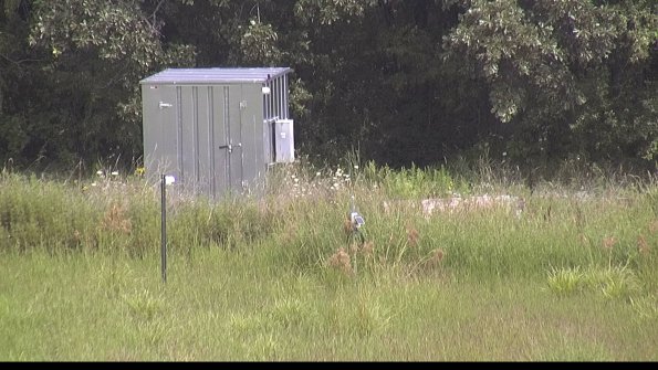 capture-2-23-08-11_12-23-57-77