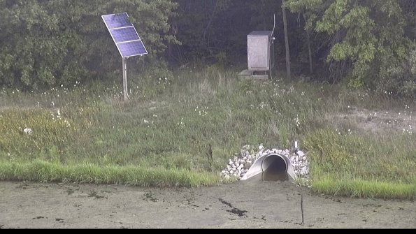 capture-3-23-08-11_14-20-11-04