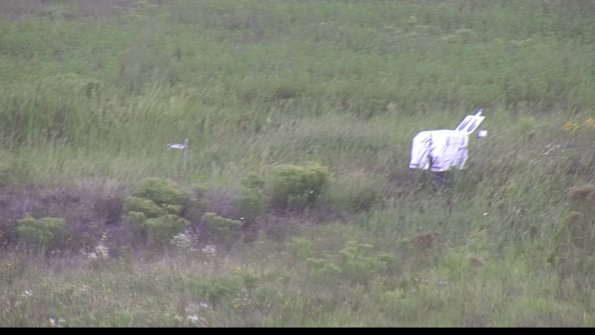 capture-5-23-08-11_14-18-41-88