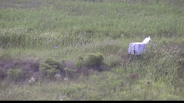 capture-5-23-08-11_16-58-42-16